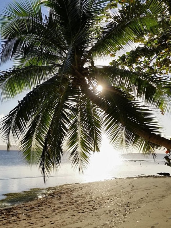 Kuwait Visa Medical from Persona Health